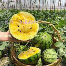 ά