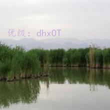 ά